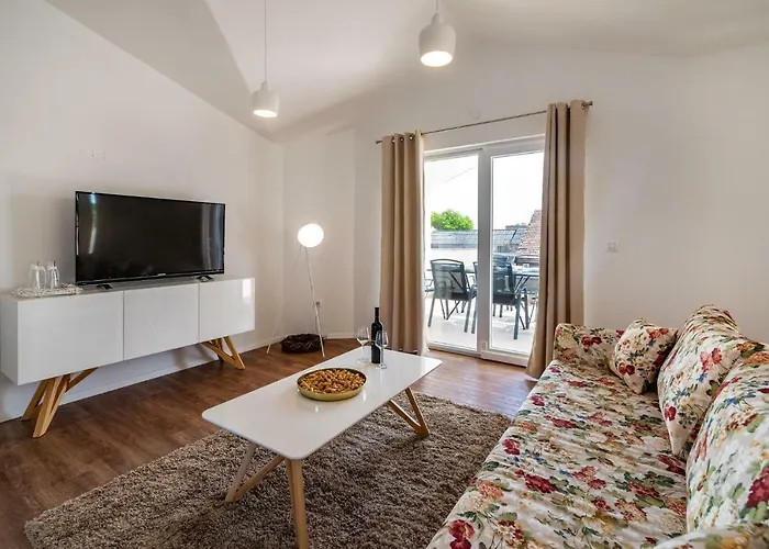 Zozzy * Поседарье